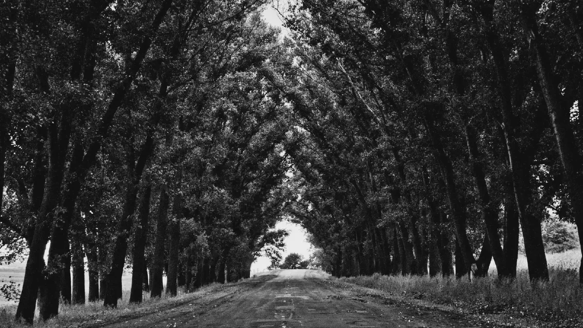 Featured image for Alpine基础安装教程