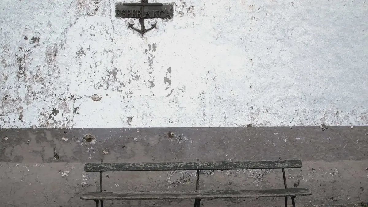 Featured image for 基于Hugo+Blowfish主题搭建的博客网站