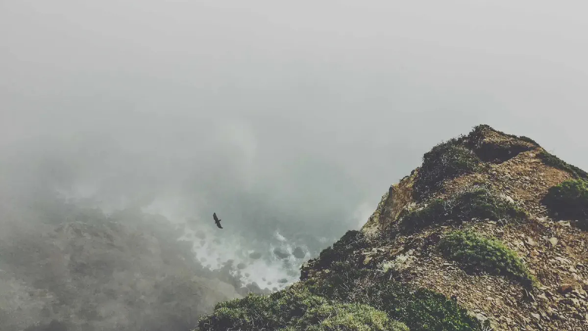 Featured image for Python读书笔记