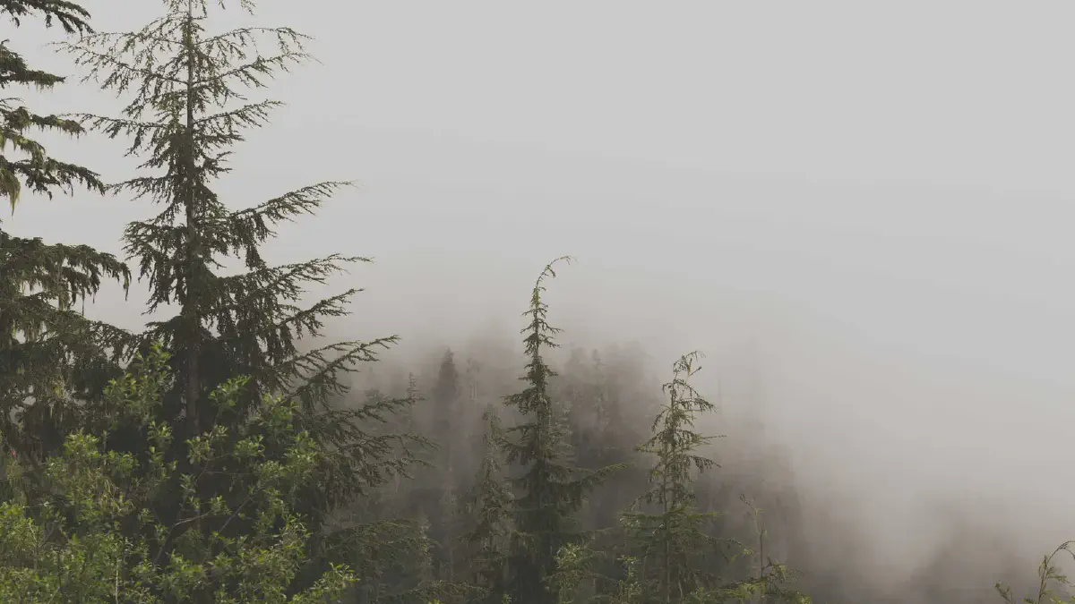 Featured image for [转载]Docker建议教程